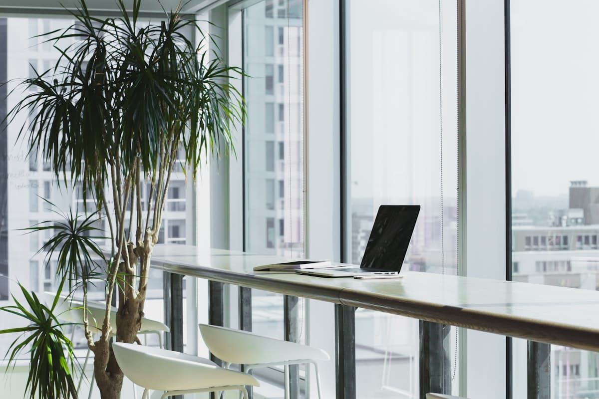 Professional & Corporate Services advisory practice